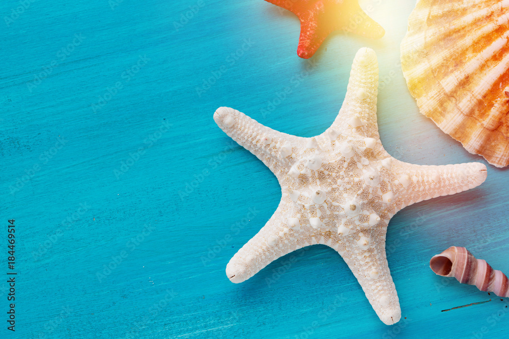 Summer corner border of sea shells scallop and star fish on blue wooden background Summer corner border of sea shells scallop and star fish on blue wooden background