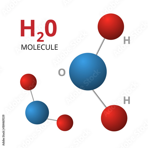 Molecule H2O isolated on white background. Vector illustration of color molecules.
