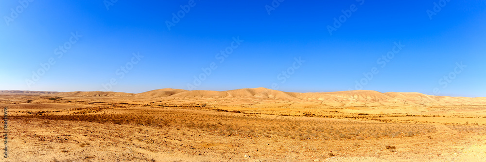 Panorama of desert at winter