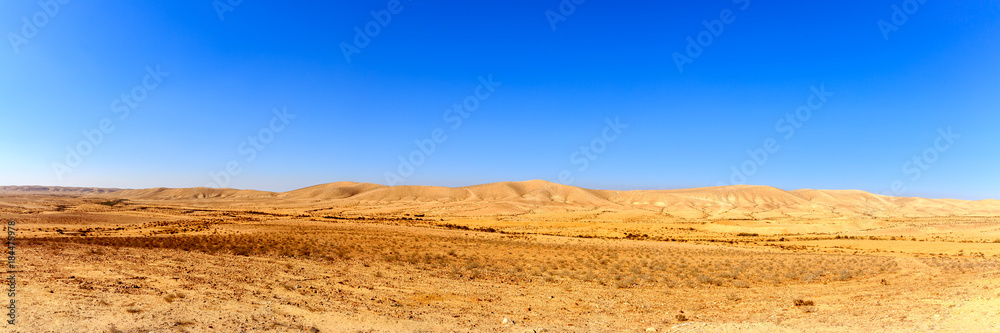 Panorama of desert at winter Panorama of desert at winter