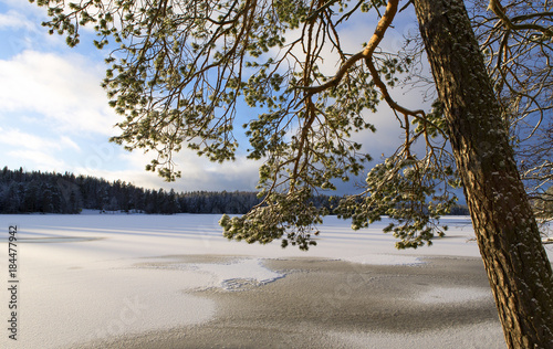 Winter landscape in Finland. Snowy ground and lake ice with sunlight. Beautiful moment on a cold morning.