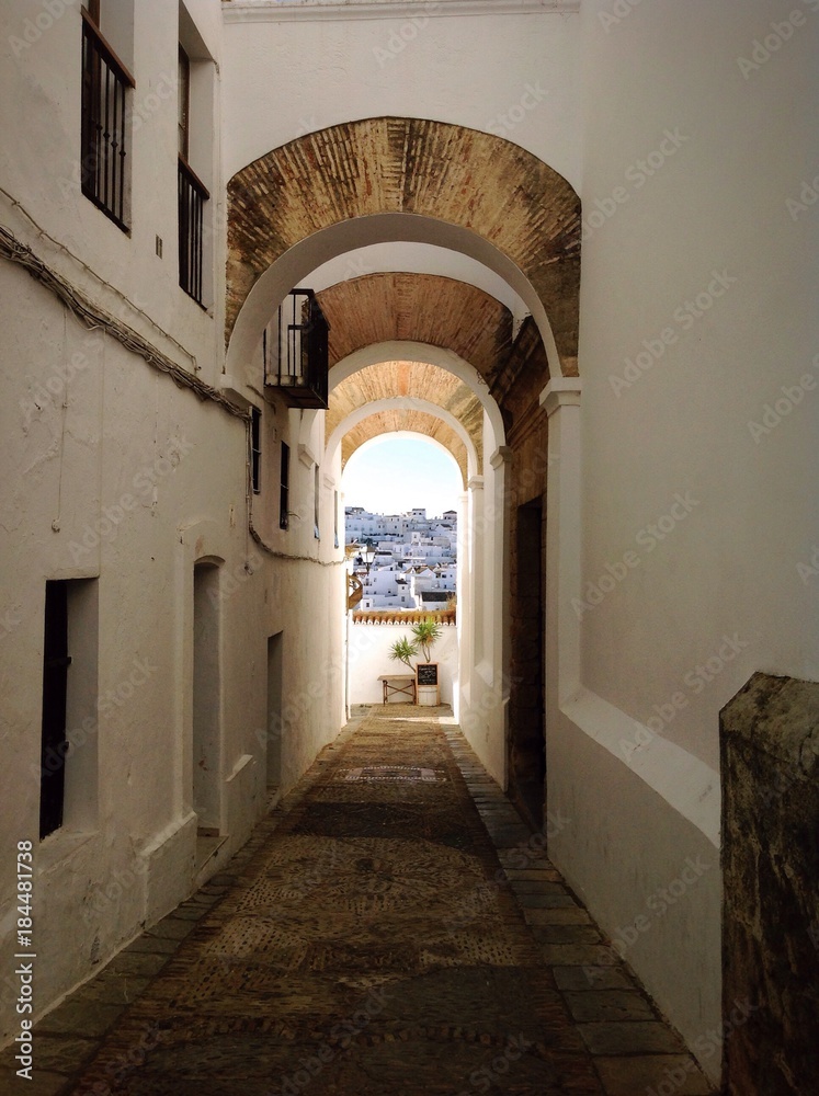 Obraz premium vejer