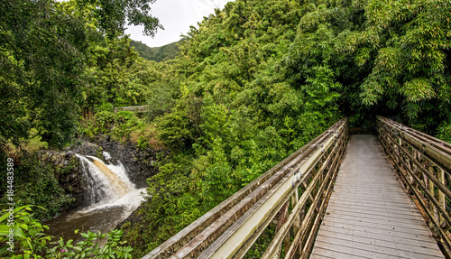 Pipiwai Trail Bridge leads into the bamboo forest