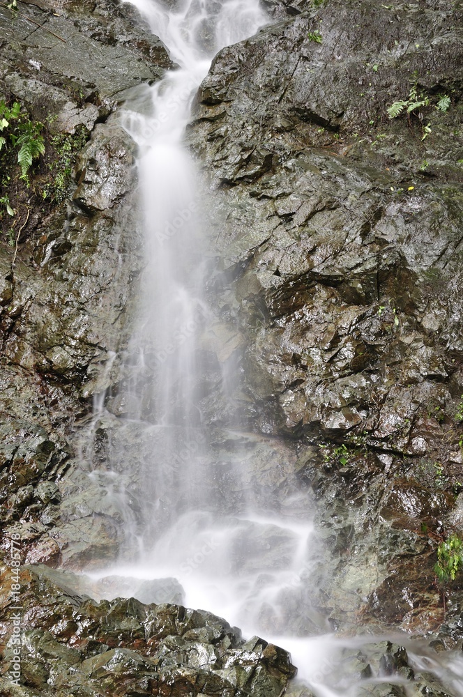 Obraz premium 増水してできた滝