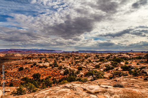 I created these intriguing images while on the Slickrock Trail i the Needles District of the Canyon Lands National Park in Utah.