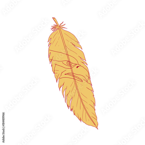 Sea Eagle Head Inside Feather Drawing