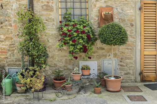 Flowers, windowbox and topiary on street in Volpai, Tuscany, Italy photo