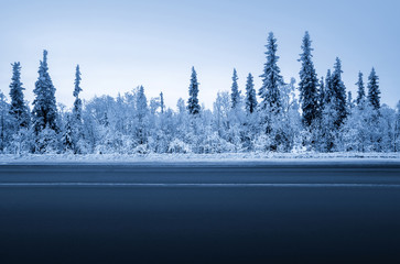 road in winter forest