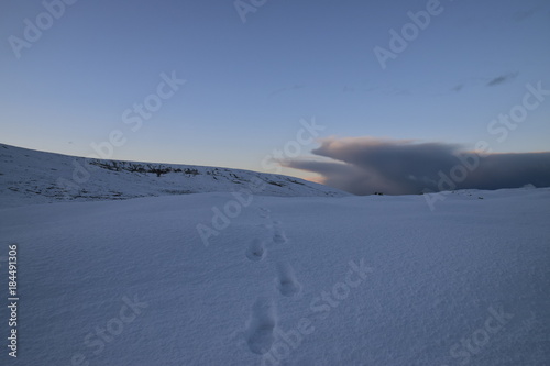 First footsteps in freshly fallen snow