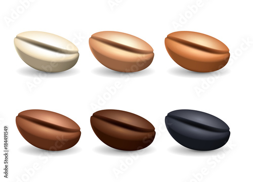 Different degrees of roasting coffee beans. Realistic vector set. Collection of coffee seeds isolated on the white background.