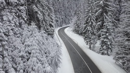 Fly on the beautiful winter forest. Natural video in the winter time photo