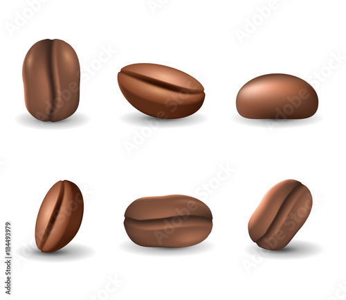 Set of coffee beans isolated on the white background. Realistic vector illustration. Picture with different coffee seeds.