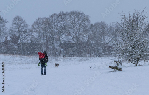 Father carrying his little daughter in forest park during a heavy snowfall