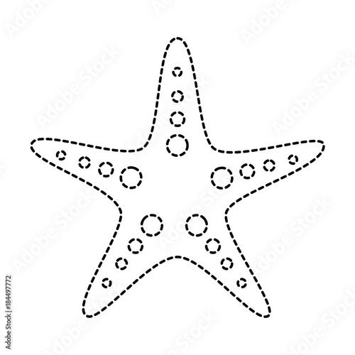 starfish animal wildlife ocean tropical vector illustration