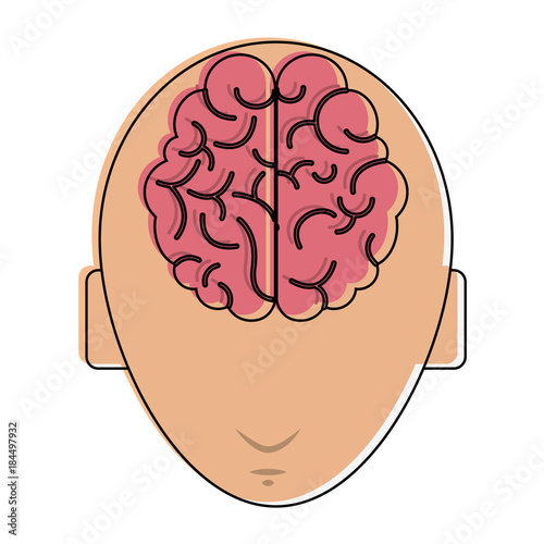 Head with brain