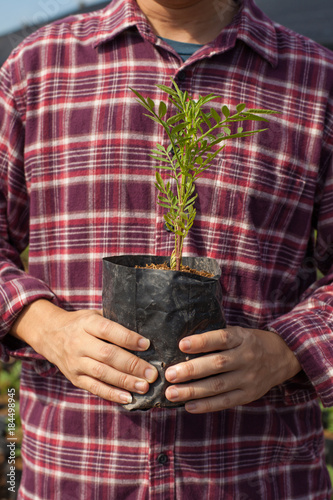 A man holding plant in prepare plastic pot ready to grow.