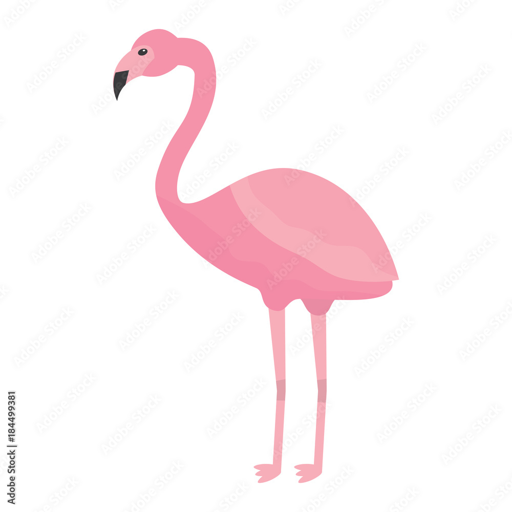 Fototapeta premium różowy flaming egzotyczny ptak ozdobny płaski kształt ilustracji wektorowych