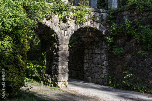 Fototapeta Naklejka Na Ścianę i Meble -  Torbogen Schloss Efeu Brücke