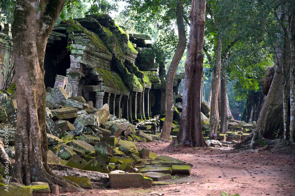 Ta Prohm Garden Ta Prohm Garden