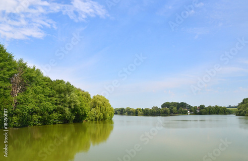 Green landscape with river and tree
