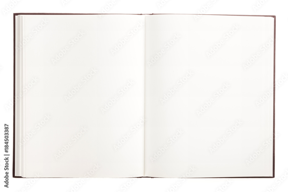 empty note spread isolated on the white background. empty note spread isolated on the white background.