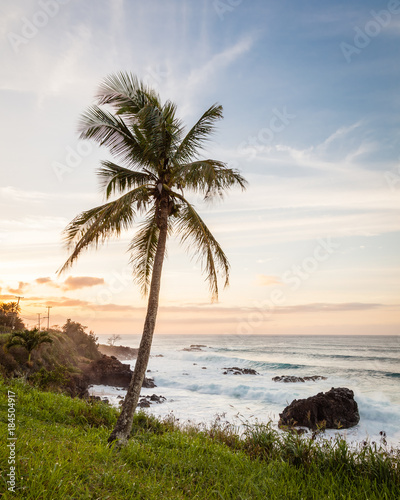 Tropical Hawaiian Sunset Landscape and Palm Tree