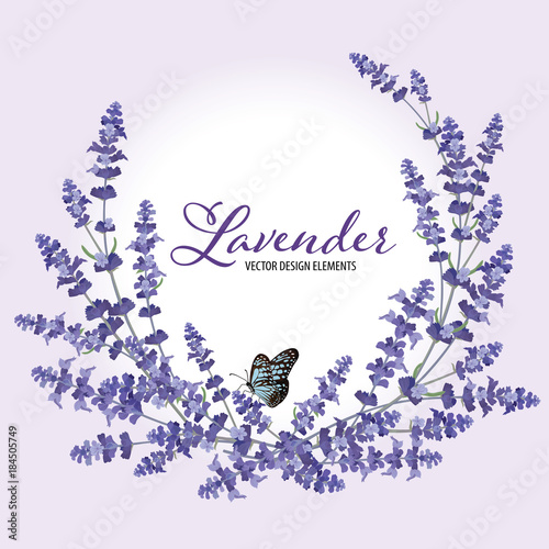 Fototapeta Naklejka Na Ścianę i Meble -  Floral frame with autumn lavender flowers on violet in the background. Vector set of blooming floral for wedding invitations and greeting card design. 