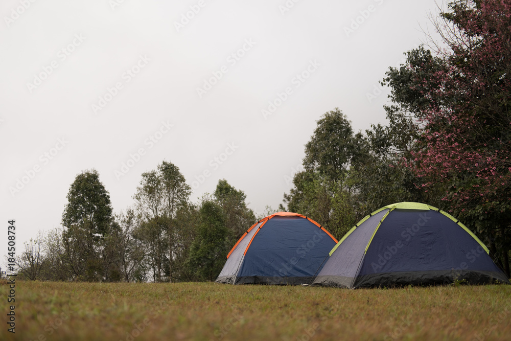 tourist tent on lawn yard. camping in forest. travel, vacation concept