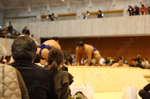 相撲巡業観戦