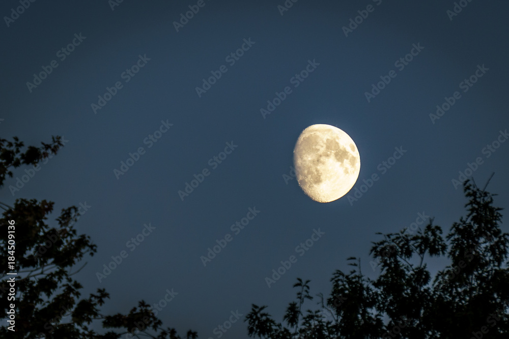 Half moon on blue sky over trees at dusk time. Half moon on blue sky over trees at dusk time.