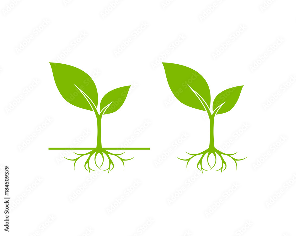 Unique Sprout Seed Grow Vector Illustration Unique Sprout Seed Grow Vector Illustration