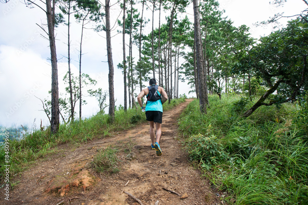 Obraz premium Athletic runner running on the tropical in the forest trail, dramatic tone