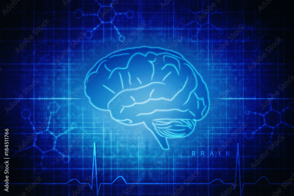 Human brain 2d illustration Human brain 2d illustration