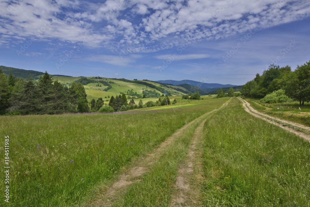 
Rural road and green field in Beskidy Mountains in summer, Poland