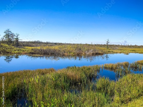 marsh river landscape