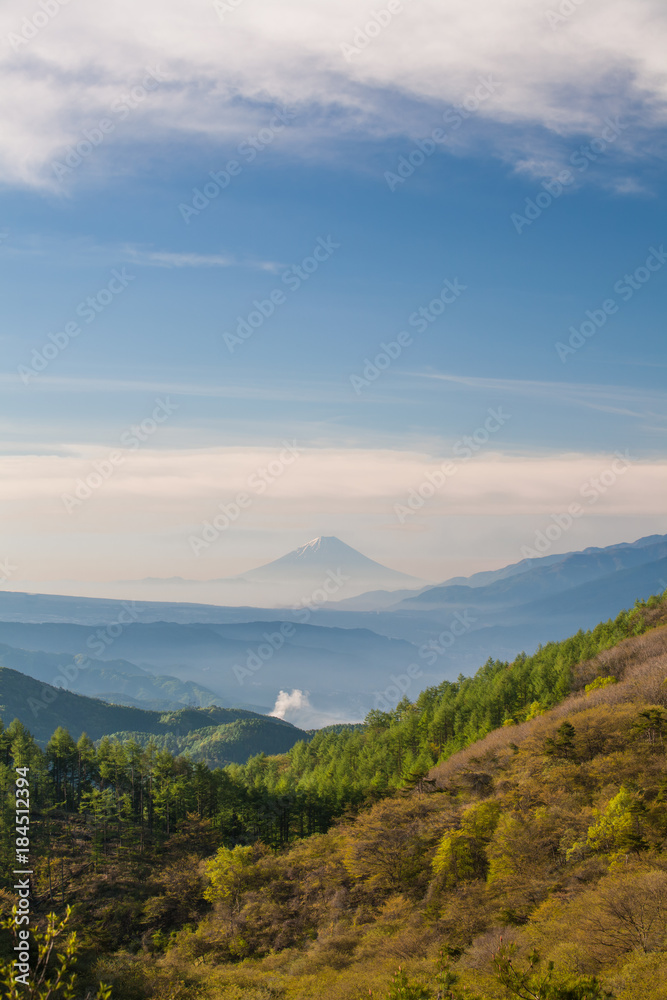 Fototapeta premium Mountain Fuji with morning mist in spring season