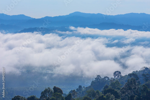  panorama at sea of mist on the hilltop. In the morning the cold weather is make floating fog on the mountain as a sea of mist. photo