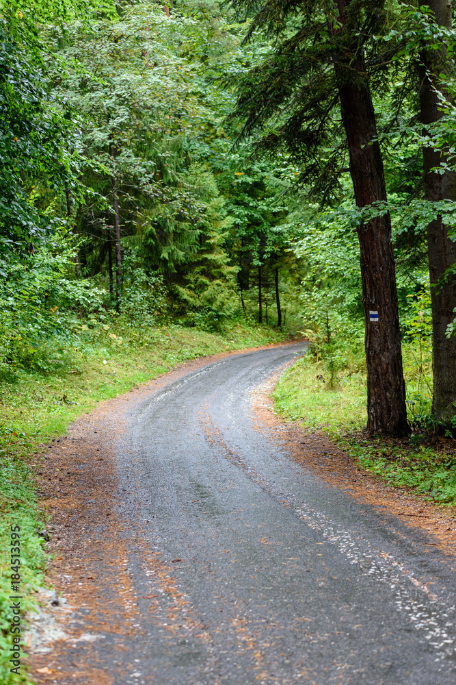empty road in the countryside in summer. gravel surface empty road in the countryside in summer. gravel surface