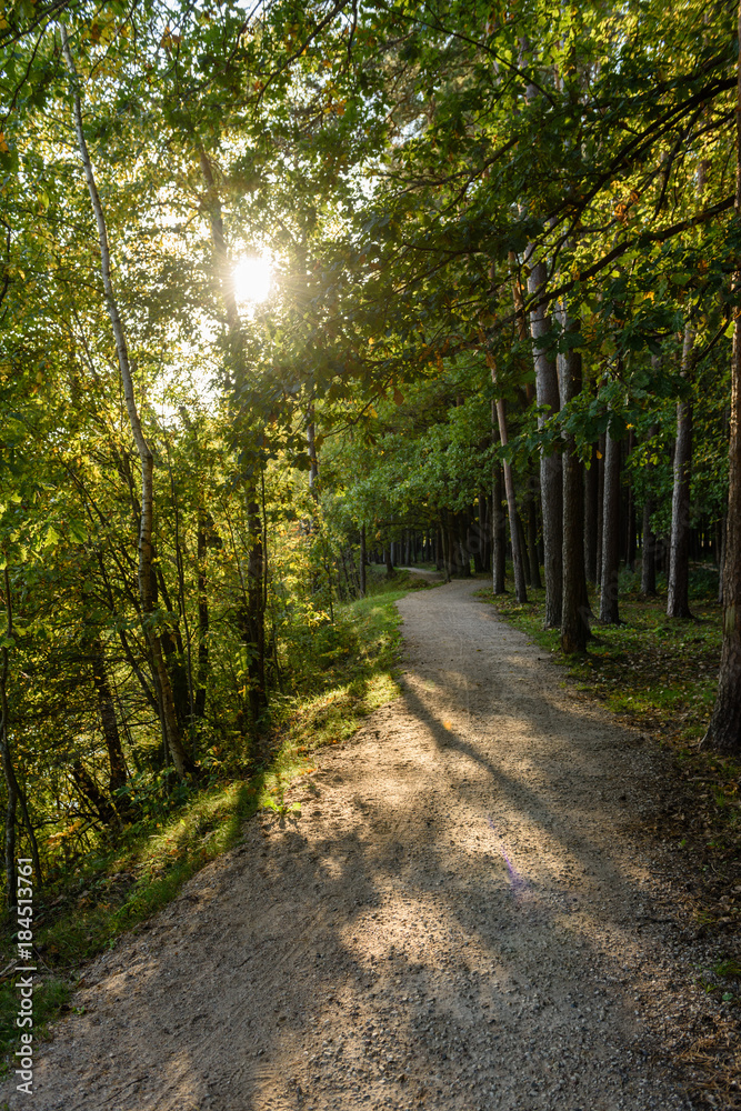 empty road in the countryside in summer. gravel surface empty road in the countryside in summer. gravel surface