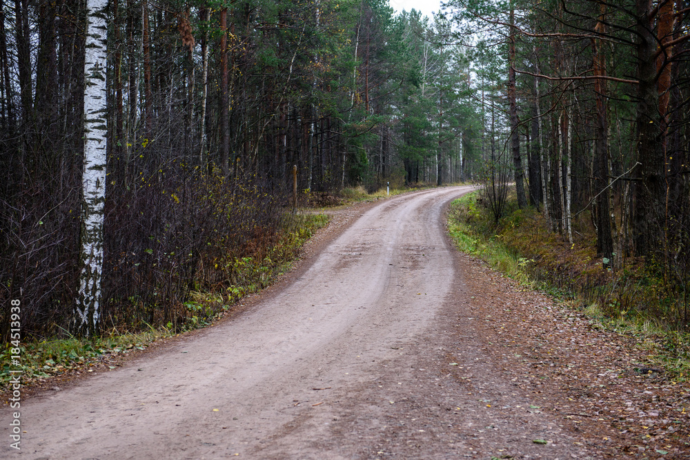 empty forest road in the countryside in autumn. gravel surface empty forest road in the countryside in autumn. gravel surface