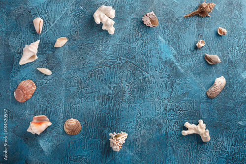 Summer vacation, tourism, travel, holiday concept. Sea shells, blue colors on wooden background. Top view with space for text