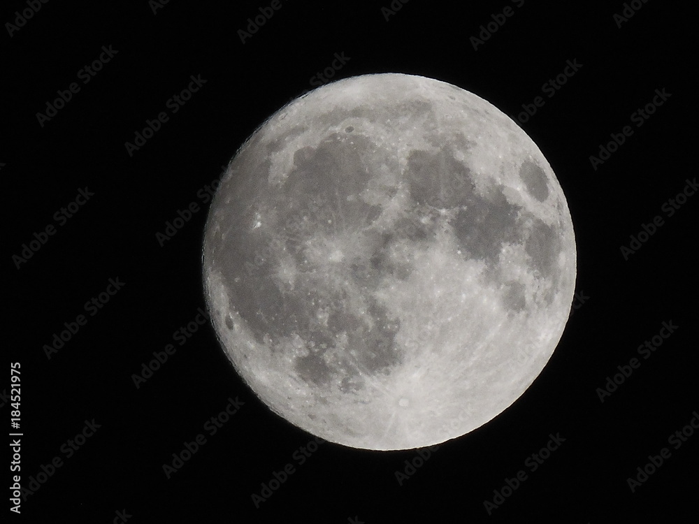November Moon November Moon