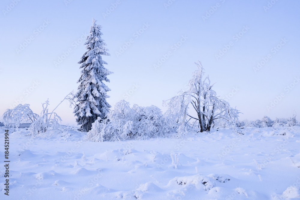 Winterlandschaft im Morgenlicht