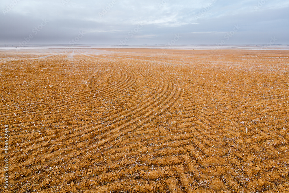 Naklejka premium Campos de cultivo en invierno. Reserva Natural de Lagunas de Villafáfila, Zamora.