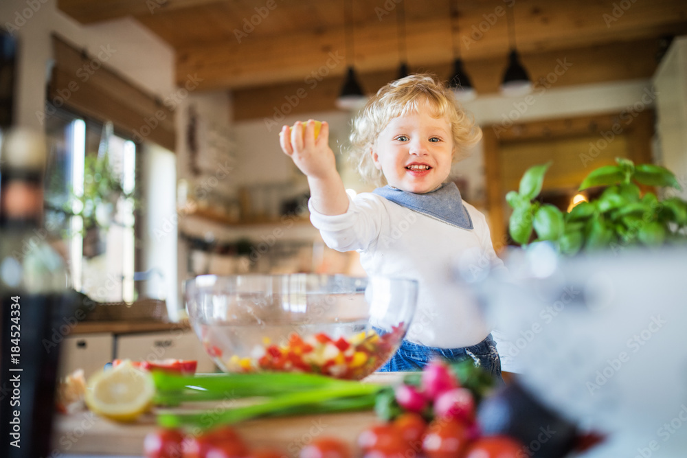 Toddler boy in the kitchen. Toddler boy in the kitchen.