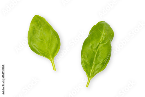 fresh basils leaf isolated on a white background