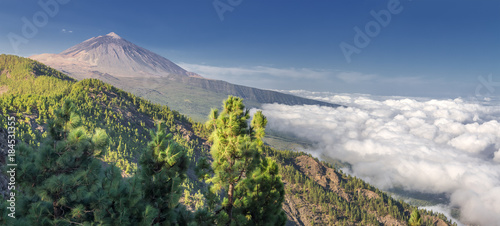 Panorama of the volcano Teide and Orotava Valley - view from Mirador de Chipeque (Tenerife, Canary Islands) 