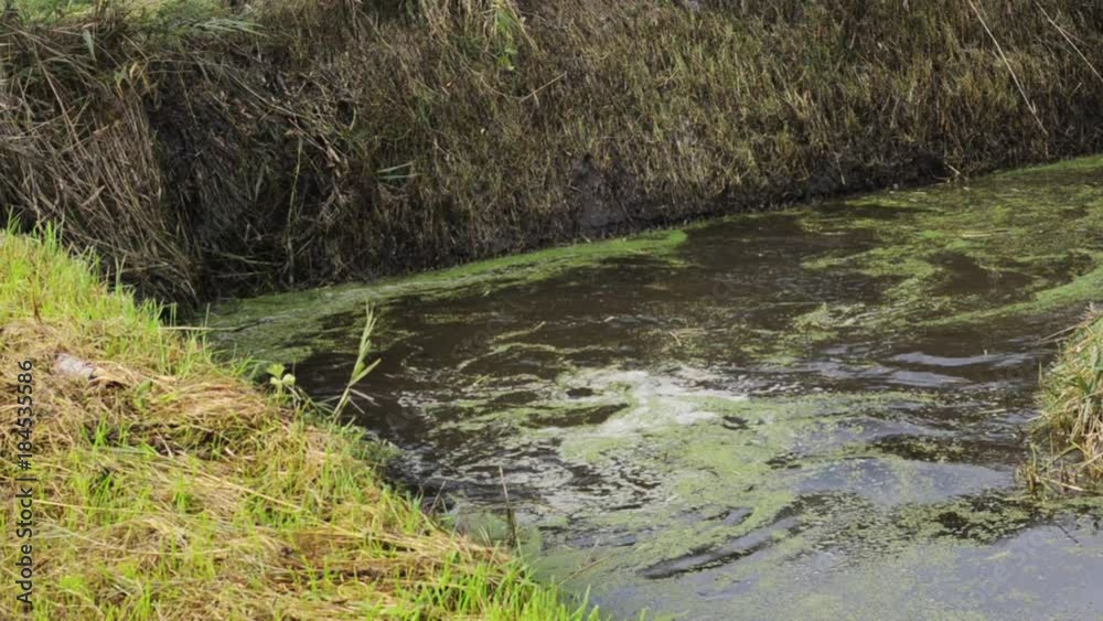 removing plants from a drainage ditch