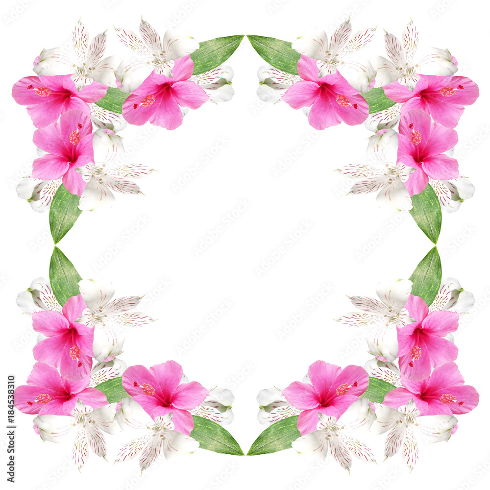 Beautiful floral background of white alstroemerias and pink hibiscus 