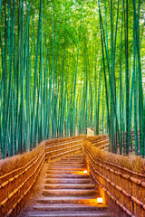 Fotobehang Japan Bamboebos in Kyoto Japan  © tawatchai1990